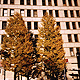 08-ityou.jpg