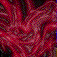 999.gif